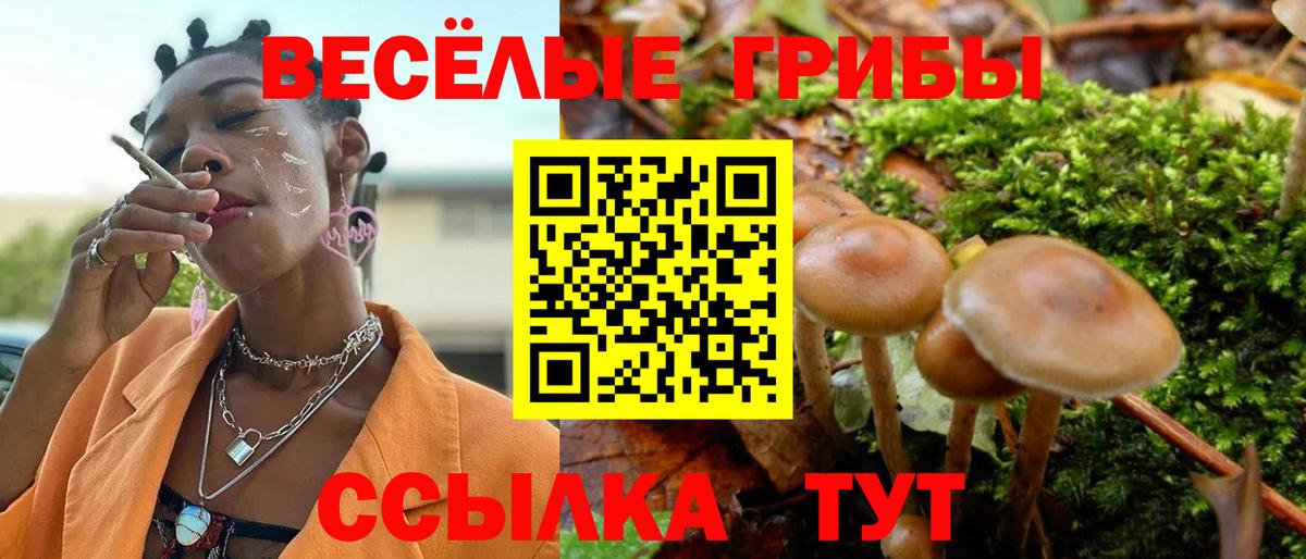 Псилоцибиновые грибы GOLDEN TEACHER  Вход с VPN  Зима 